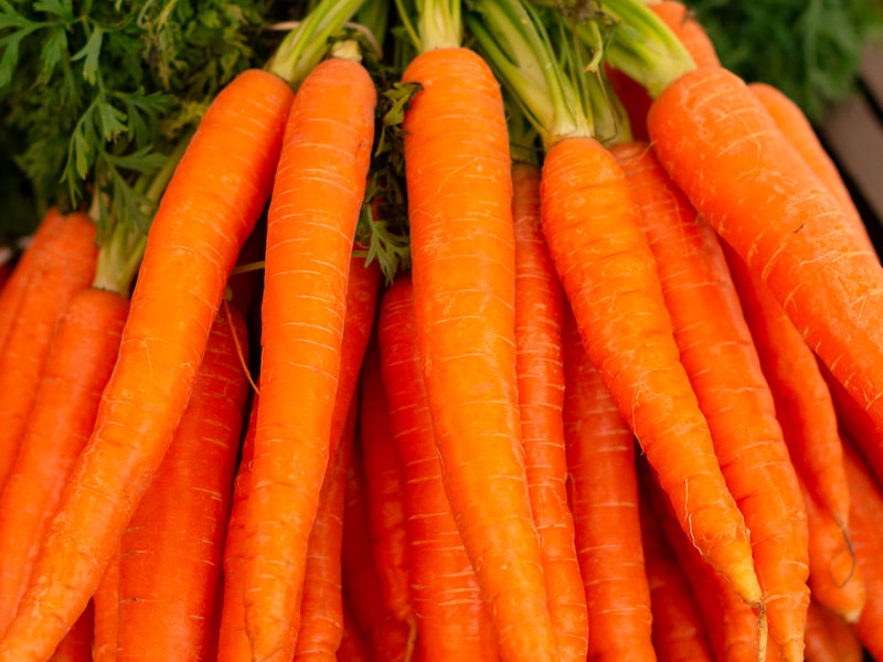 Carrot