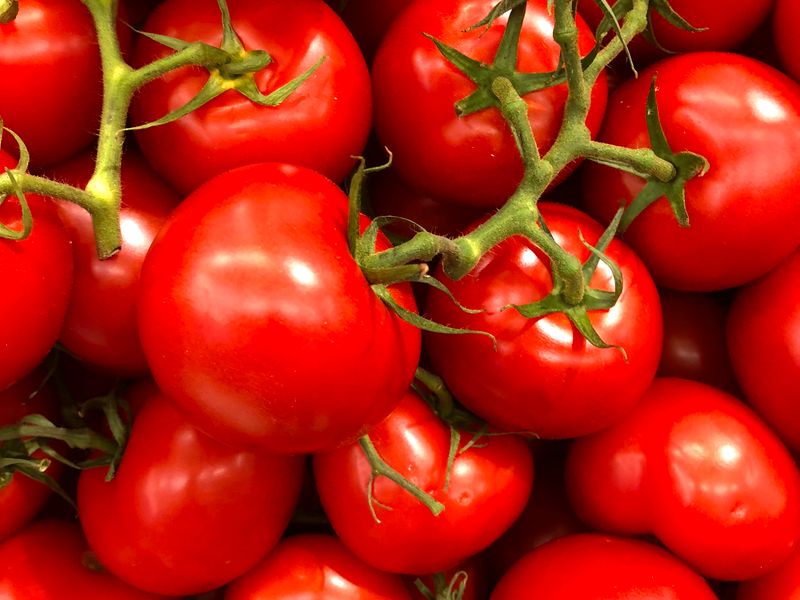 Tomato
